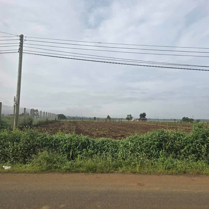 Đất nền mặt tiền đường DH3, Đức Trọng 510m² giá 2.7 tỷ - Sổ hồng chính chủ!