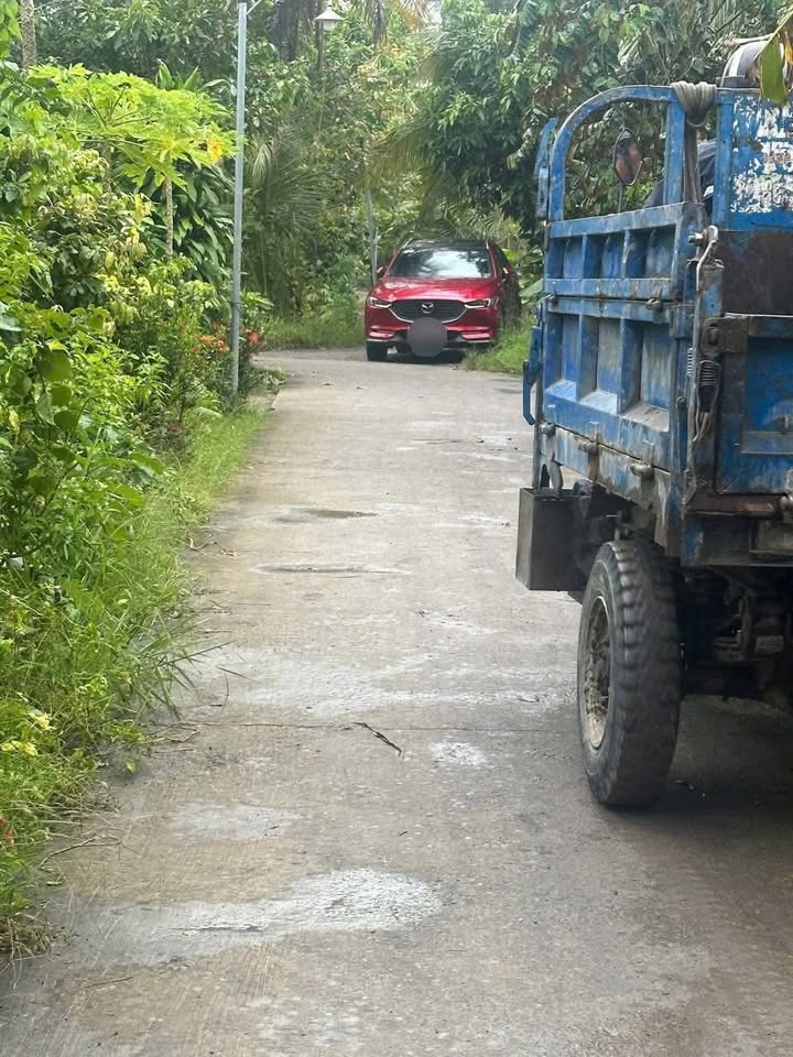 Đất nền liền kề xã Song Phú, Vĩnh Long - Giá chỉ 290 triệu - Đầu tư sinh lời tuyệt vời!