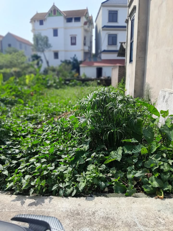 Đất vườn Thư Phú - Thường Tín 79m² giá thỏa thuận - Nơi an cư lý tưởng!