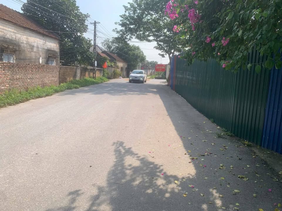 Đất nền phường Tự Lạn, Tx Việt Yên 100m² - Giá chỉ từ 1xx triệu, đầu tư ngay!