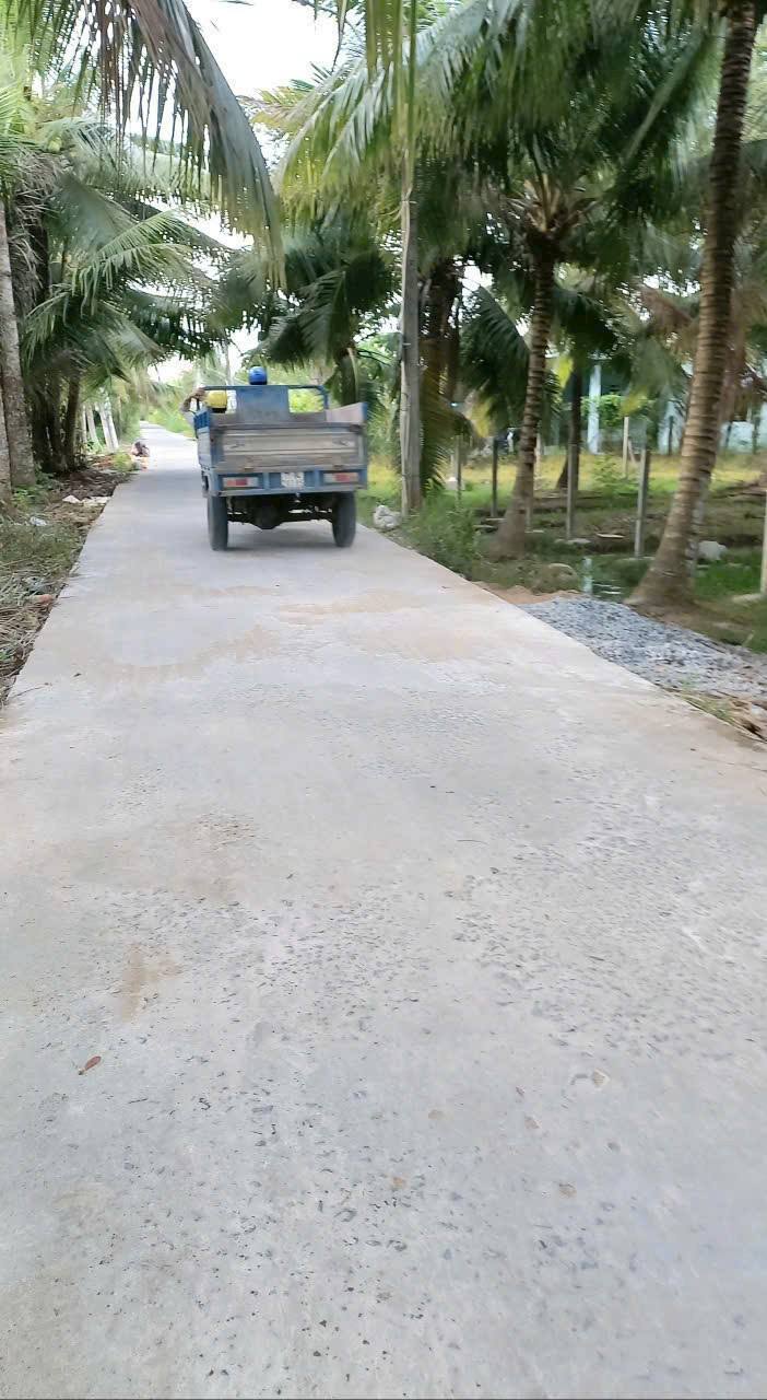 Bán vườn dừa Phú Hưng 1500m² giá 1.5 tỷ - Đường thông, sổ đỏ chính chủ!