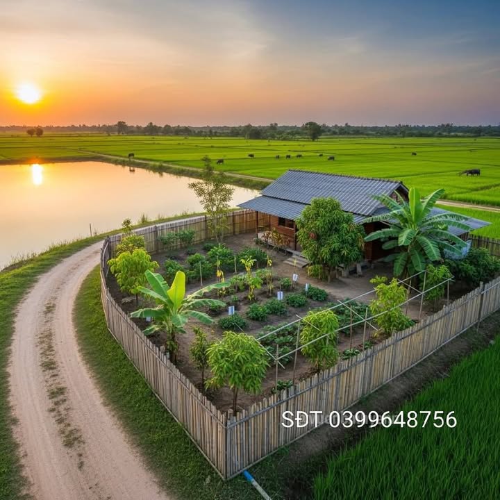 Nhà riêng Quang Tiến Sóc Sơn 65m² giá 3 tỷ - Ngõ thông ô tô, gần chợ