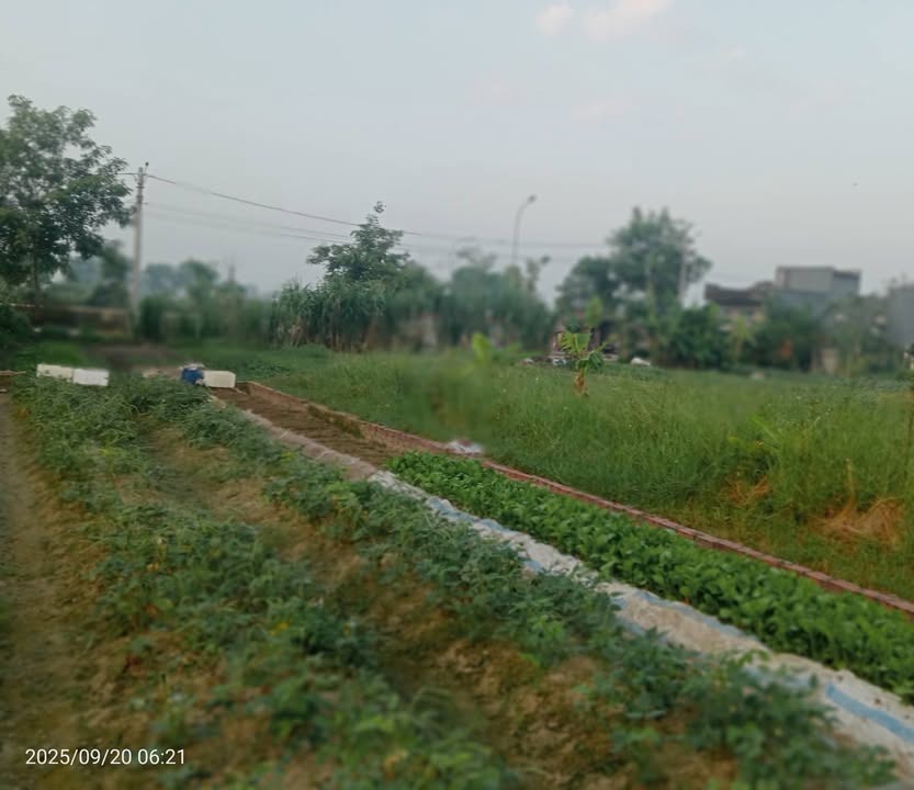 Đất nền Xuân Nộn Đông Anh 120m² giá 8.5 tỷ - Sổ đỏ chính chủ, vị trí đẹp!