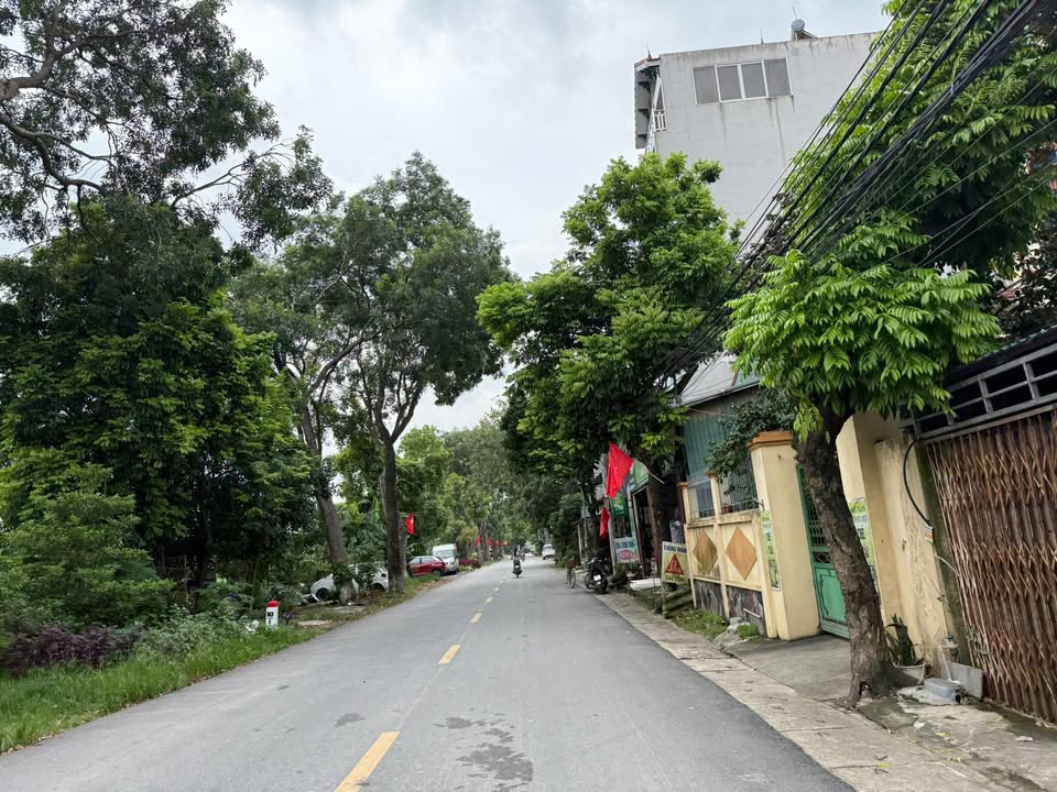 Đất thổ cư 81m² Đại Mạch Đông Anh giá 4.75 tỷ - Đầu tư sinh lời ngay!