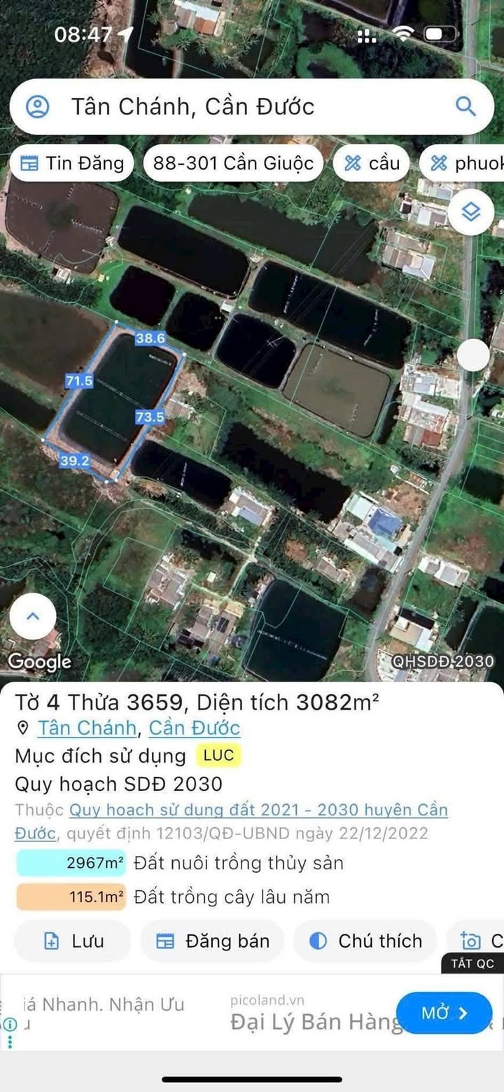 Đất nền Tân Trạch, Cần Đước 3072m² giá 700 triệu - Cơ hội đầu tư hấp dẫn!