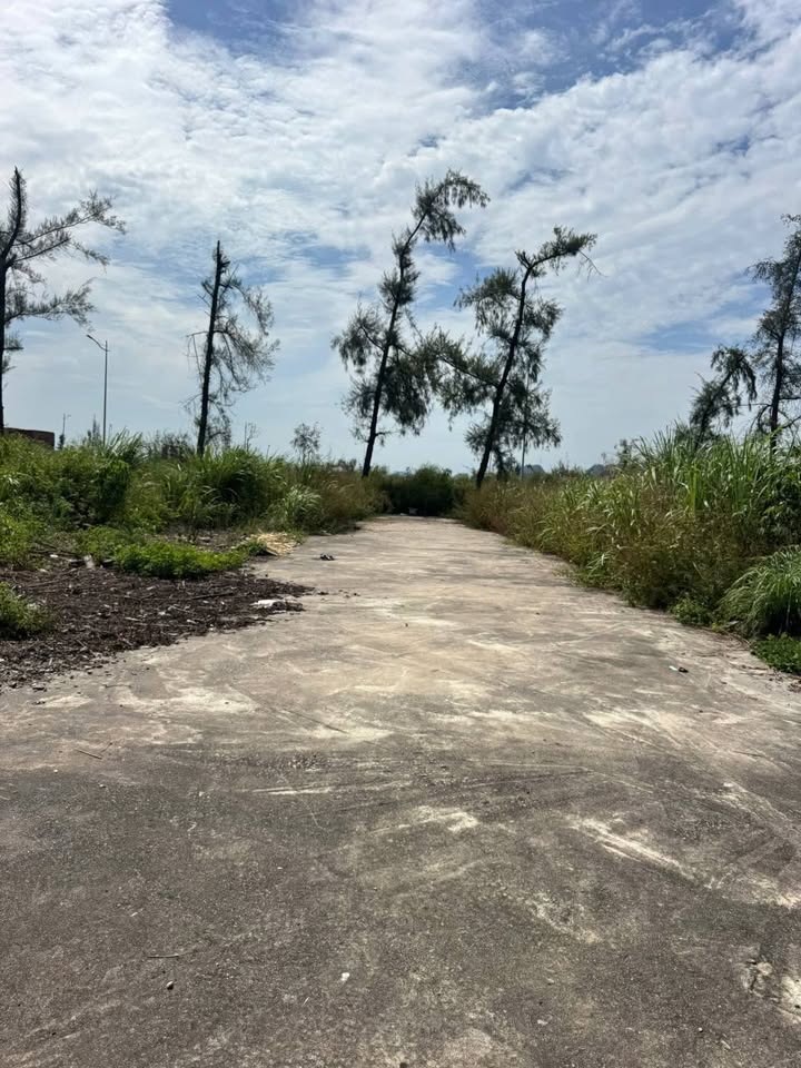 Đất Biệt Thự Cao Sơn 3, Cẩm Sơn, Cẩm Phả, 200m² chỉ 6.486 tỷ - Khu vực đắc địa gần biển!