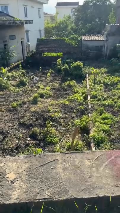 Đất nền Bảo Yên 101m² giá thỏa thuận - Vị trí đắc địa gần trạm y tế!