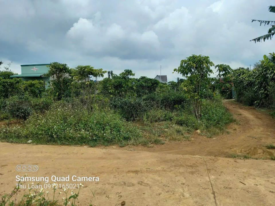 Đất nền Bảo Lộc 283m² giá 1,8 tỷ - Cơ hội đầu tư tuyệt vời!