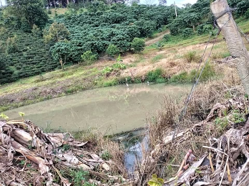 Đất vườn 7 sào Đại Lào - Giá chỉ 2.8 tỷ - Pháp lý rõ ràng, tiện ích đầy đủ!