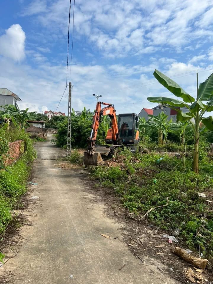 Đất cây lâu năm tại Lục Nam Bắc Giang 318m² - Gần khu công nghiệp!