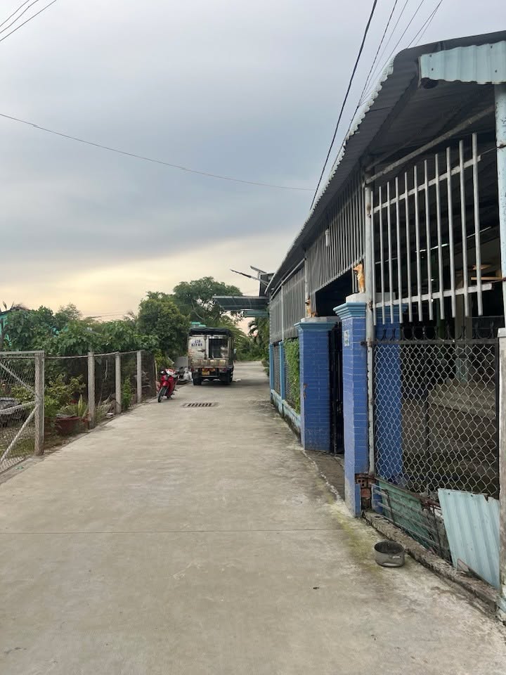 Nhà cấp 4 kiên cố 304m² tại Ấp Thuận Bắc, Cần Giuộc - Giá 4 tỷ, thương lượng!