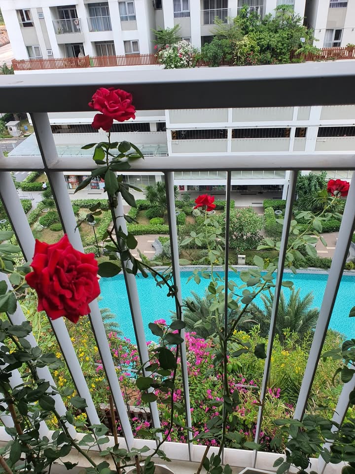 Căn hộ Jamona City quận 7 2PN giá chỉ 11 triệu - Gần full nội thất, sẵn sàng vào ở!