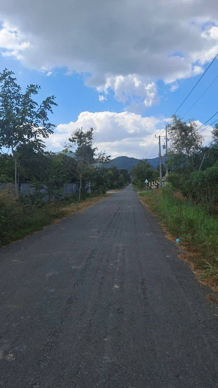 Lô đất Tóc Tiên 500m² giá chỉ 800 triệu - Sổ hồng riêng, đầu tư sinh lời!