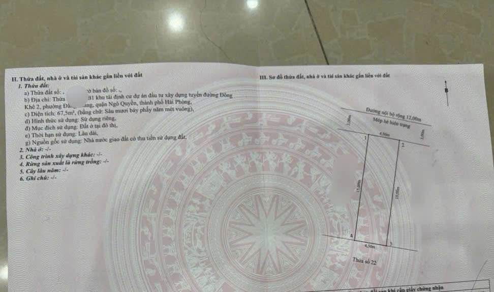 Đất nền TDC Cây Đa 67m² giá 9 tỷ - Cơ hội đầu tư hấp dẫn!