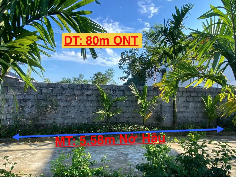 Đất nền Cao Dương, Lương Sơn 80m² giá 400 triệu - Cơ hội đầu tư tốt!