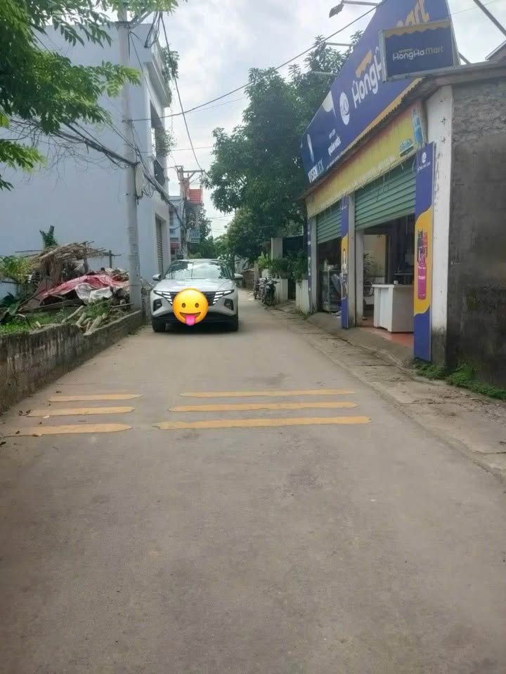 Đất Thư Phú 54.8m² giá 3.25 tỷ - Kinh doanh đắc địa, tiện ích đầy đủ!