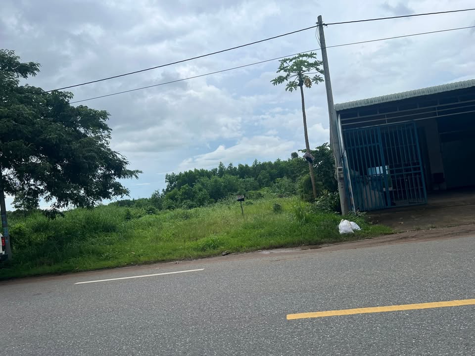 Đất nền mặt tiền Đường số 1, xã Châu Pha, 512m² - Cơ hội đầu tư lý tưởng!