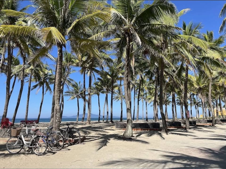 Đất mặt tiền Resort Cửa Đại, Hội An 330,7m² giá 15,9 tỷ - Cơ hội đầu tư tuyệt vời!