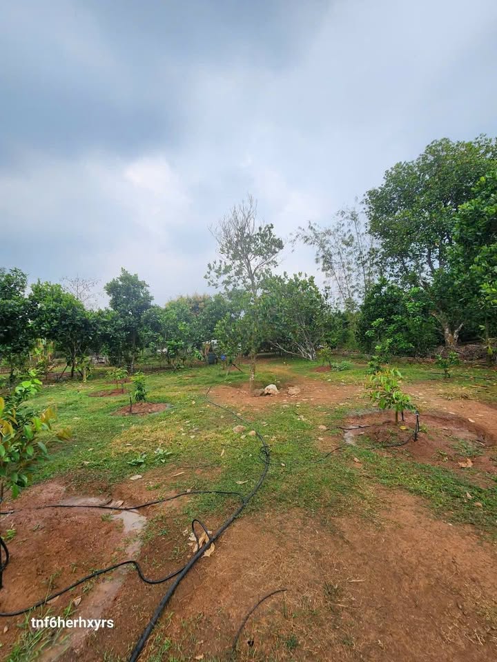 Đất vườn 5 sào Bảo Hòa, Xuân Lộc giá 5.5 tỷ - Cơ hội đầu tư tuyệt vời!