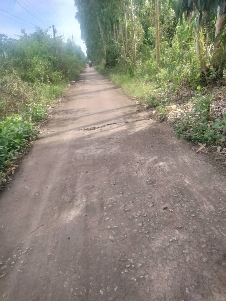 Đất Farm 54.000m² tại Phong Thạnh Tây B, Bạc Liêu - Giá chỉ 5.4 tỷ VND!