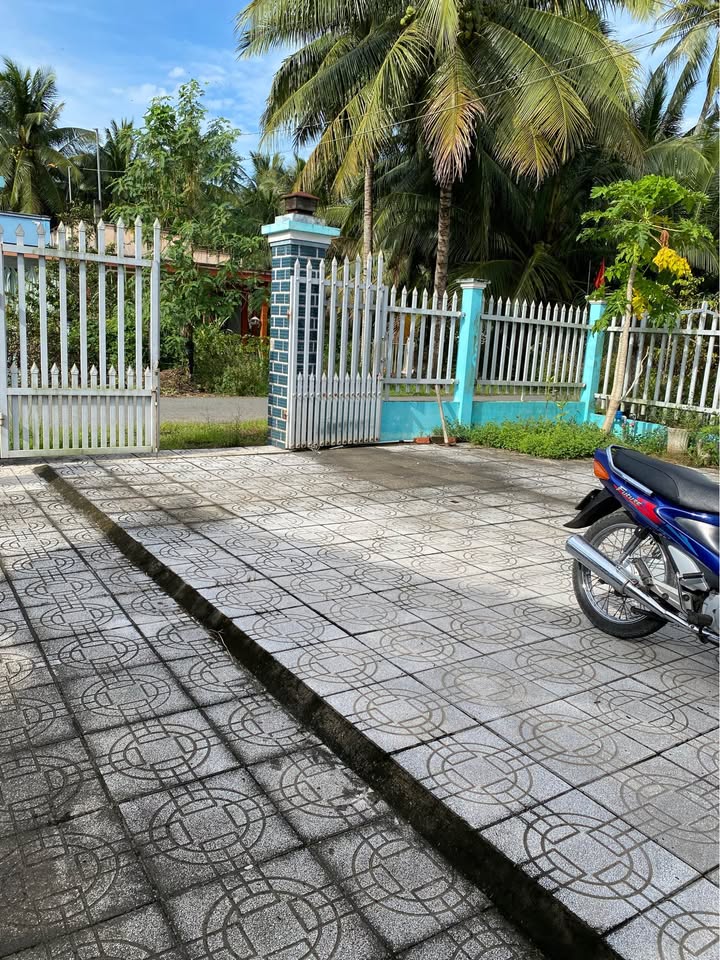 Nhà cấp 4 mặt tiền đường nhựa Bình Khánh 1000m² giá 2.2 tỷ - Sẵn sàng vào ở ngay!