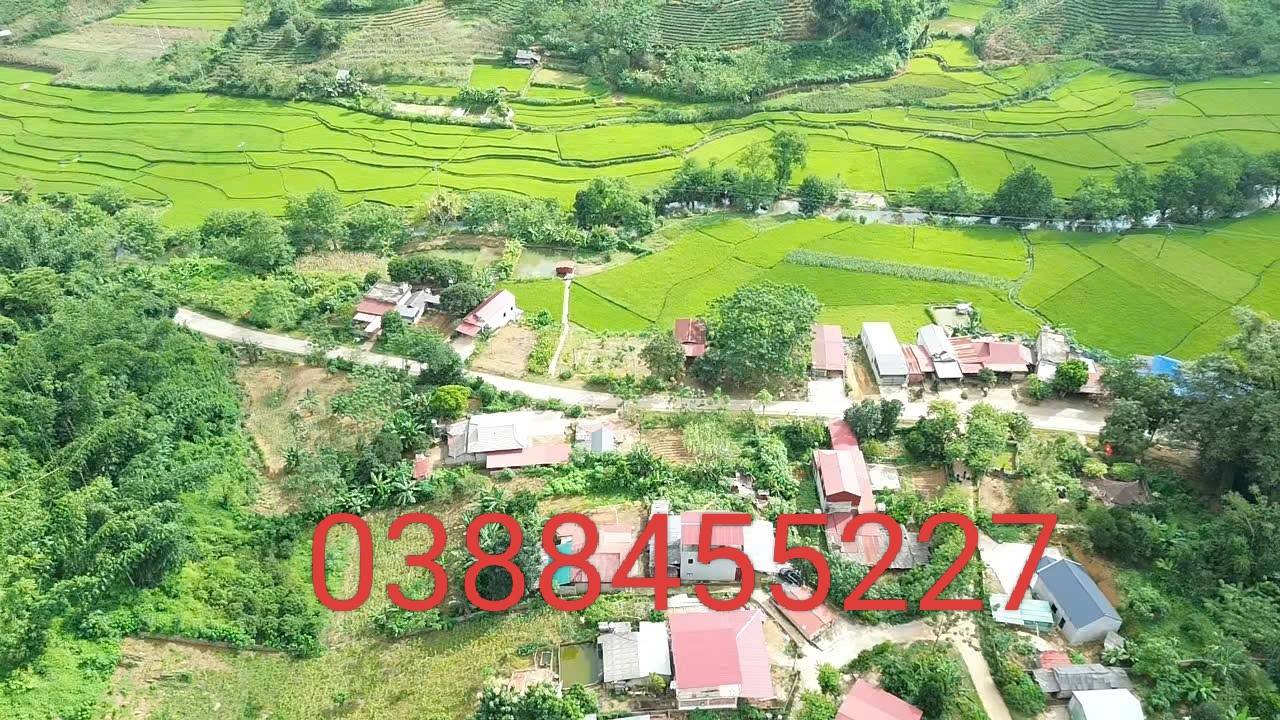 Đất nghỉ dưỡng Vân Hồ 3000m² giá 1.25 tỷ - Cơ hội đầu tư tuyệt vời!
