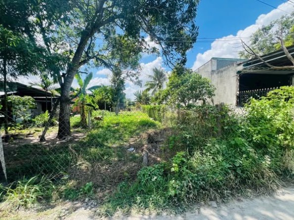 Bán đất Mỹ Hạnh Nam, Đức Hòa, Long An 200m² giá 1.25 tỷ - Sổ hồng riêng, thổ cư