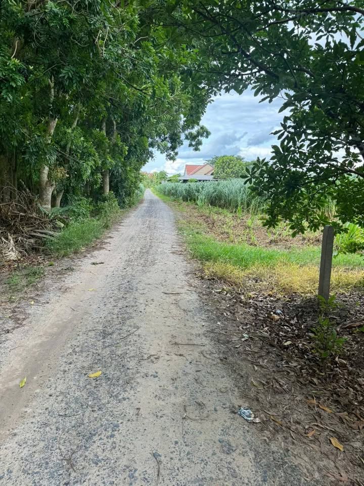 Đất thổ cư 1232m² tại Bầu Công, Tân Mỹ Đức Hòa - Giá chỉ 2.1 tỷ