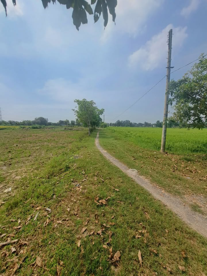 Đất nền Hòa Khánh Đông, Đức Hòa, Long An 399m² - Sổ hồng riêng, giá thỏa thuận!