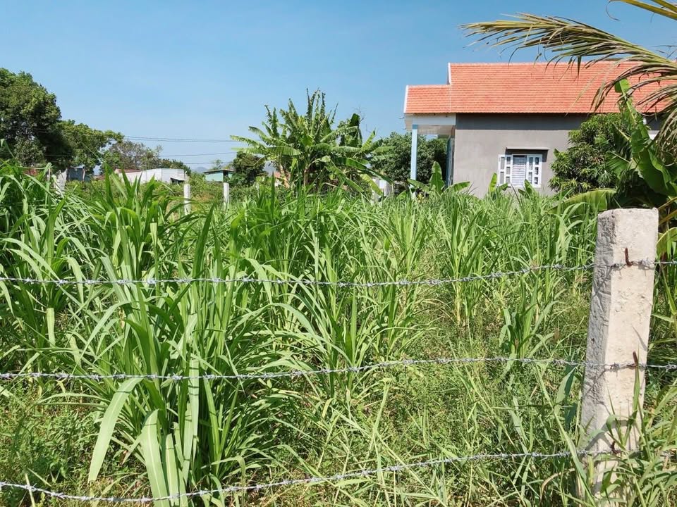 Đất thổ cư Thôn Luật Chánh 93m² giá 500 triệu - Sổ hồng riêng, thuận tiện đầu tư!