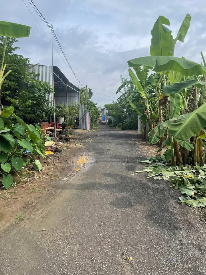 Đất nền Trị An, Vĩnh Cửu 500m² giá 750 triệu - Sổ riêng chính chủ!