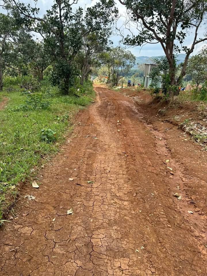 Đất nền 5 sào tại xã Quảng Tân, giá 400 triệu - Cơ hội đầu tư tuyệt vời!