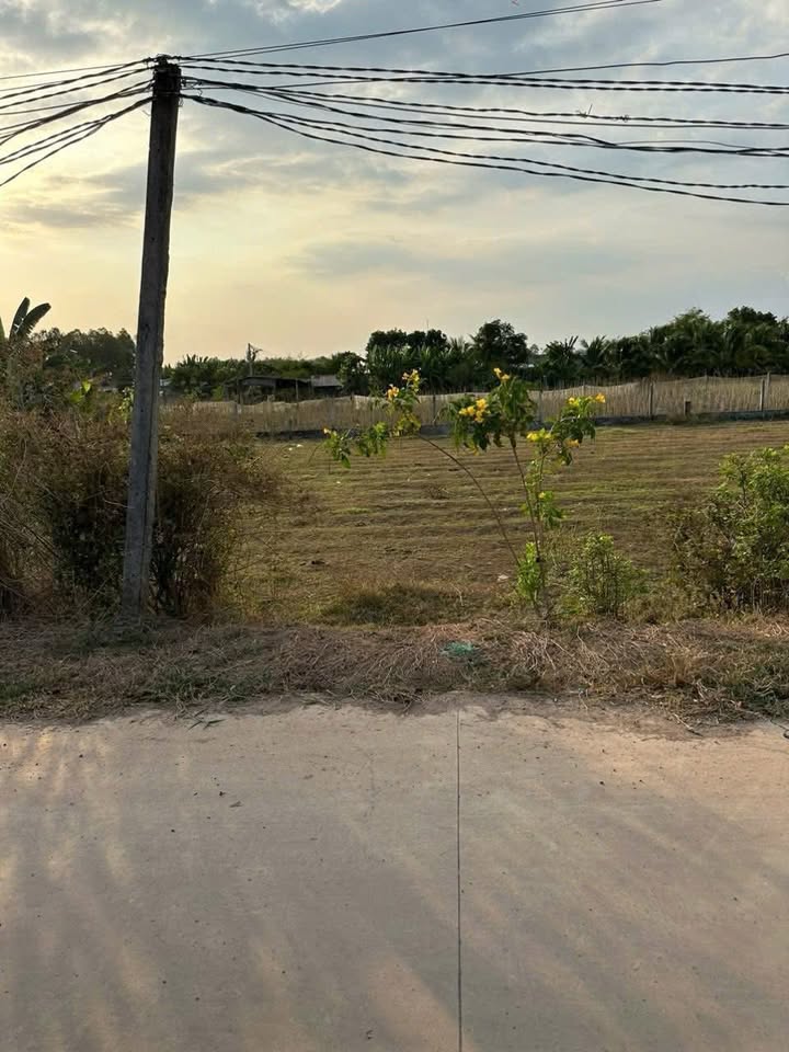 Đất nền Lộc Hòa, Đức Hòa 230m² giá 1.1 tỷ - Hạ giá gấp 100 triệu!