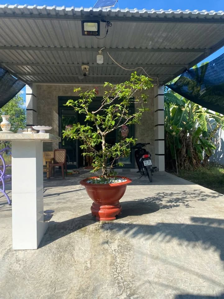 Nhà riêng Gò Công 150m² giá 850 triệu - Nhà mới 90% sẵn sàng ở ngay!