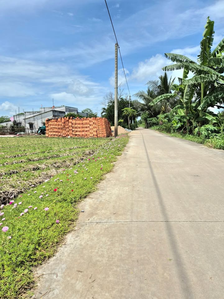 Đất nền Bình Ân, Gò Công Đông 100m² giá chỉ từ 300 triệu - Đầu tư sinh lời tuyệt vời!