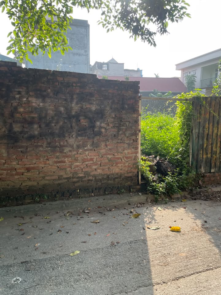 Đất nền Lệ Chi, Gia Lâm 55m² giá 3.65 tỷ - Vị trí vàng cho đầu tư!