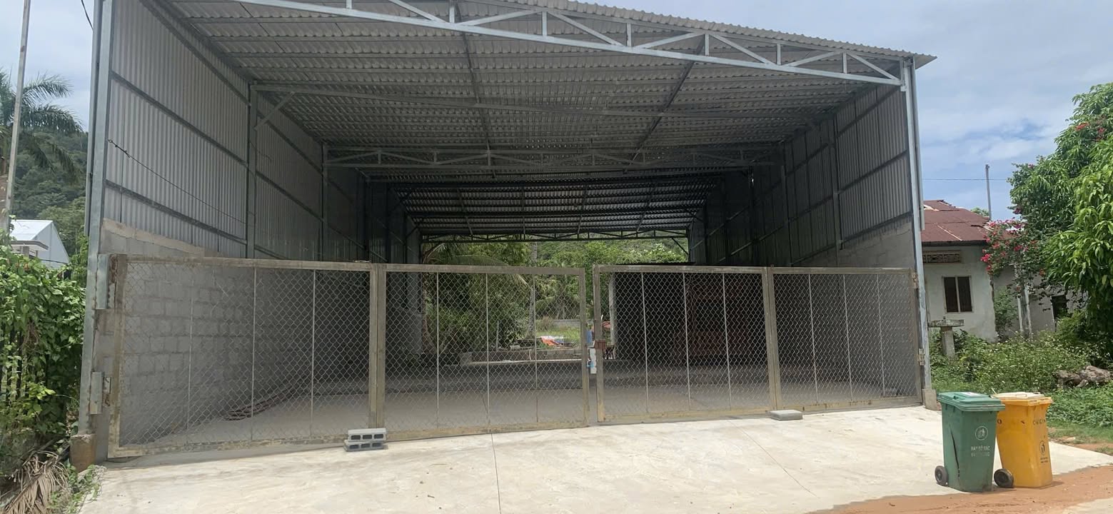 Đất thổ cư mặt tiền đường Cây Thông Ngoài, Phú Quốc 577m² giá chỉ 5 tỷ - Đầu tư sinh lời ngay!