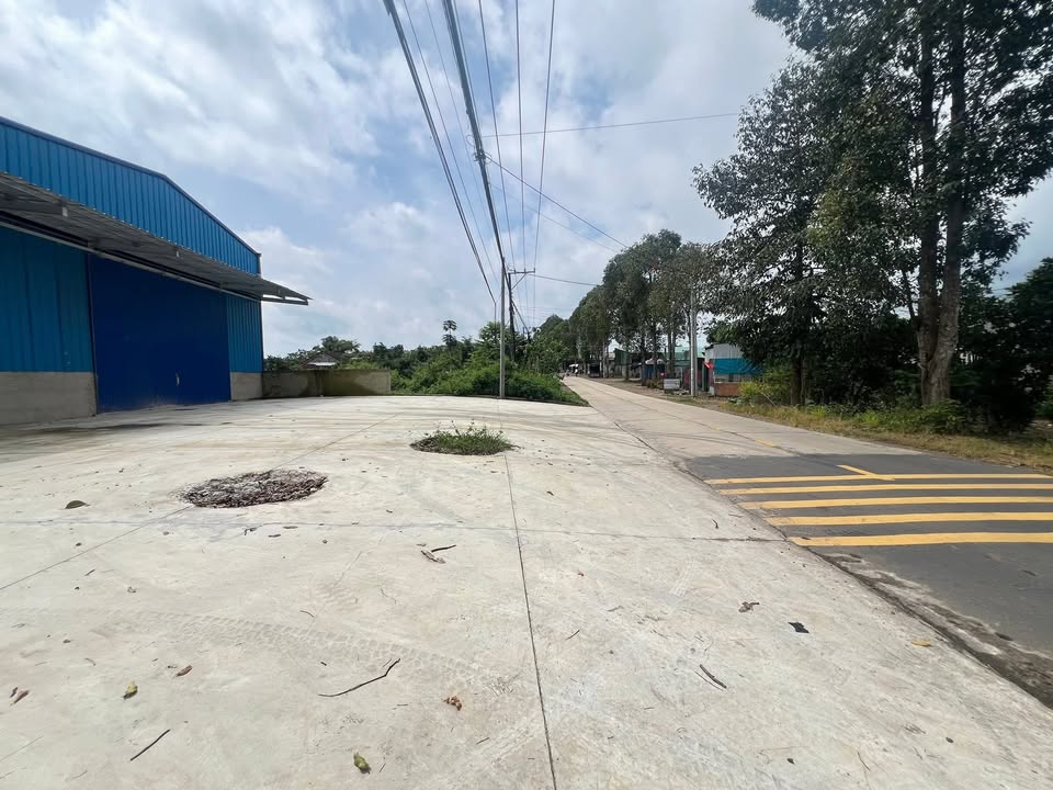 Nhà xưởng cho thuê tại Tân Phú, Đồng Nai - Diện tích 1250m², giá chỉ 18 triệu/tháng!