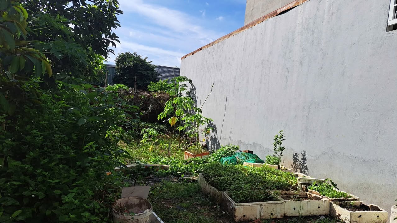 Đất thổ cư Phú Hữu Thủ Đức 65m² giá 4.55 tỷ - Gần công viên và trường học!