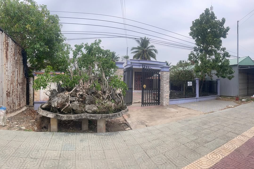 Đất bán tại Tiểu Cần, Trà Vinh 799m² - Sổ hồng chính chủ, giá chỉ 4.3 tỷ