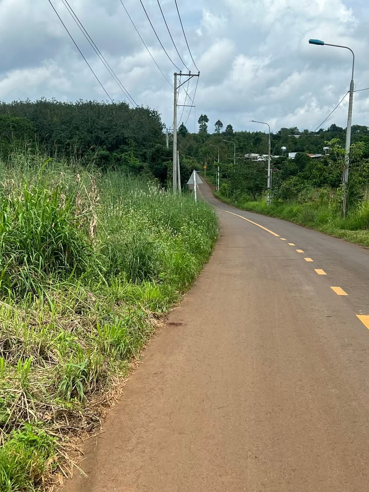 Đất vườn Bảo Hòa 1100m² giá 5 tỷ - Tiềm năng đầu tư lớn!