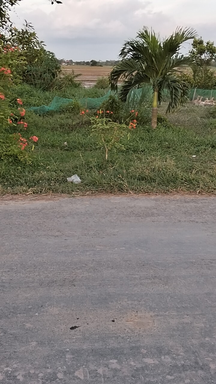 Đất mặt tiền tỉnh lộ 911, 600m² giá 6.93 tỷ - Cơ hội đầu tư hấp dẫn!