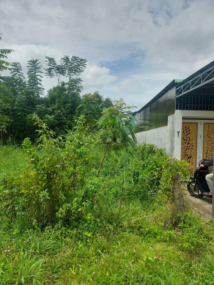 Đất thổ cư thôn 8 Đăk Cấm 210m² giá 700 triệu - Phù hợp kinh doanh và buôn bán!