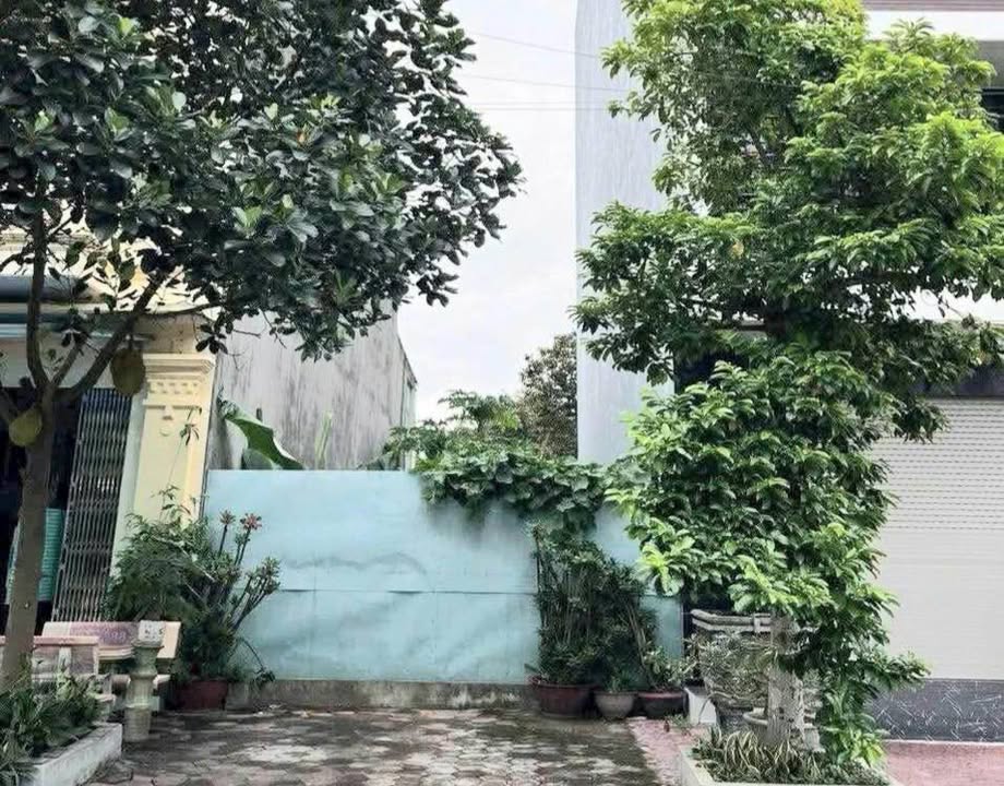 Lô đất khu đô thị Cựu Viên, Kiến An 100m² giá 4.4 tỷ - Vị trí đẹp, pháp lý rõ ràng!