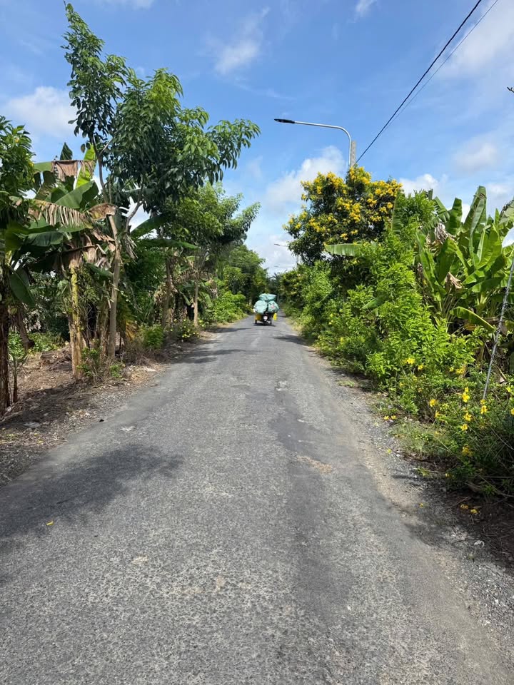 Đất mặt tiền đường huyện 21, xã Trường Thắng, 610m² - Cơ hội đầu tư hấp dẫn!