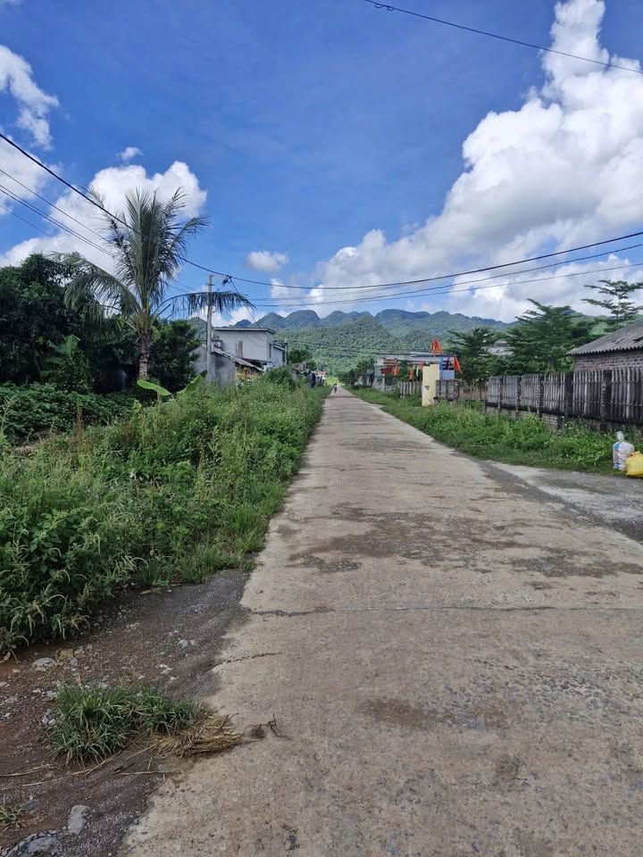 Đất thổ cư Nho Quan 220m² giá chỉ 1 tỷ - Cơ hội đầu tư tuyệt vời!