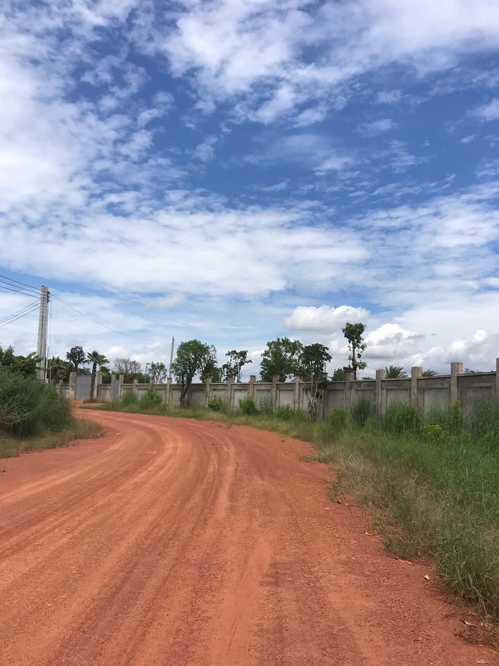 Đất Farm 3.5ha Định An, Dầu Tiếng giá 35 tỷ - Đầu tư sinh lời ngay!