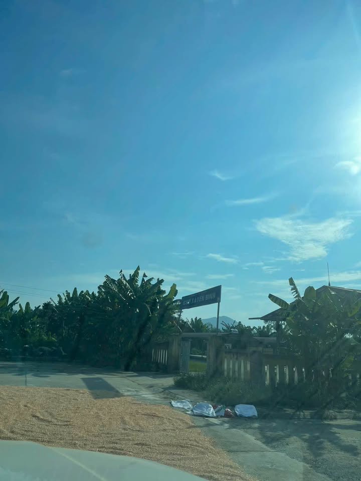 Đất nền Thác Bà, Yên Bình 100m² chỉ 300 triệu - Cơ hội đầu tư tuyệt vời!