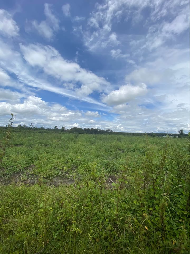 Đất nông nghiệp 7696m² tại Thôn Klau Ngol Ngo, Kon Tum - Giá chỉ 400 triệu!