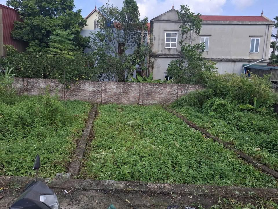 Đất nền Xóm 2 Chương Dương 51.8m² giá 1.95 tỷ - Tiềm năng sinh lời cao!